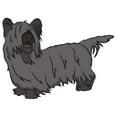 thumbnail image 1 of SignMission D-12-Skye Terrier 7 x 20 in. Super Cute Dog Decal - Skye Terrier, 1 of 2