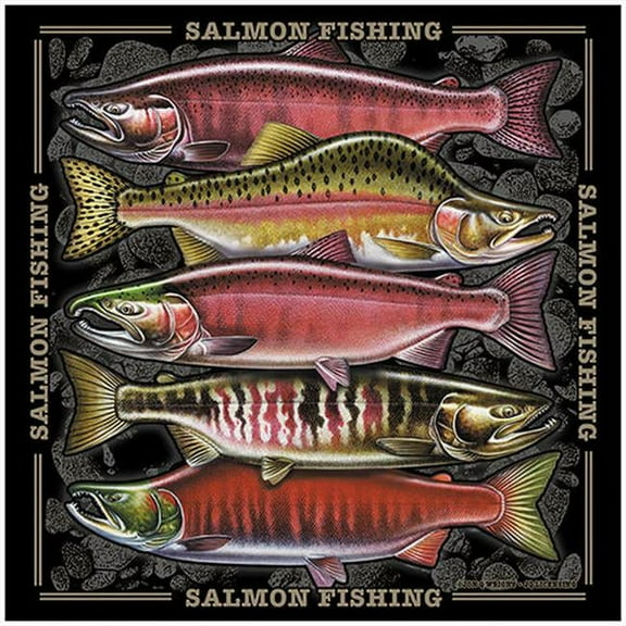 SignMission P-1212 Salmon Fishing Salmon Fishing Novelty Sign
