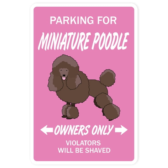 SignMission SS-Min Poodle 4 x 18 in. Minature Poodle Street Sign - Dog Lover Great Owner Animal