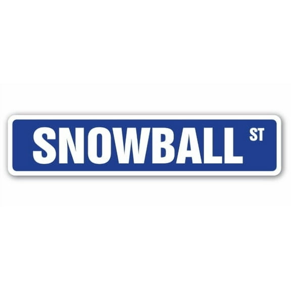SignMission SS-Snowball 4 x 18 in. Snowball Street Sign - Fights Snowing Winter Ski Ice