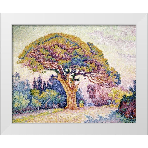Signac, Paul 14x12 White Modern Wood Framed Museum Art Print Titled - Pine Tree In St. Tropez