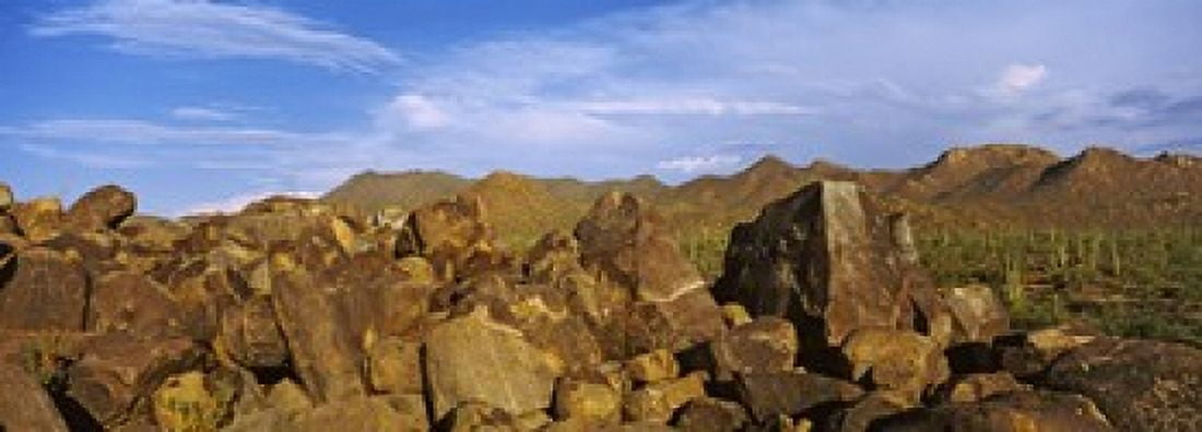 Signal Hill with Petroglyphs Saguaro National Park Tucson Arizona USA Canvas Art - Panoramic Images (18 x 7)