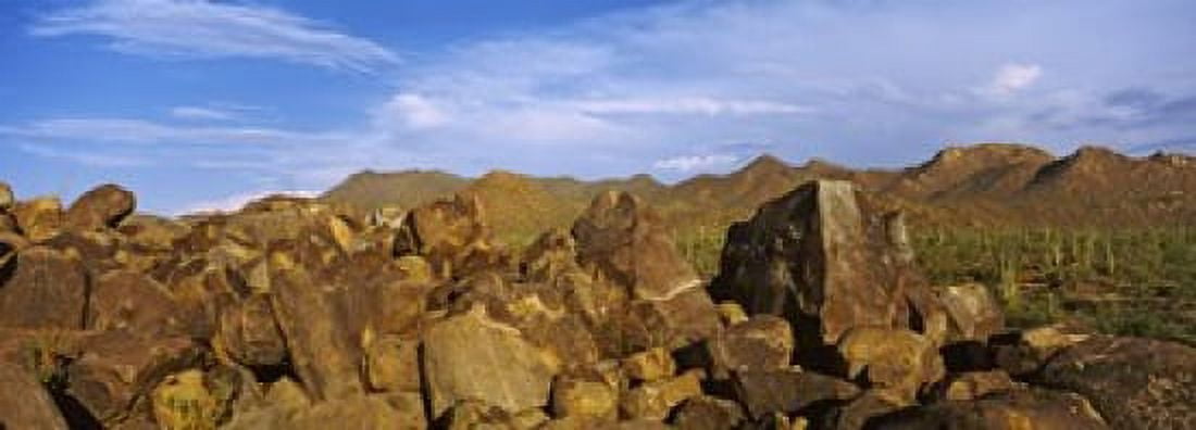 Signal Hill with Petroglyphs Saguaro National Park Tucson Arizona USA Canvas Art - Panoramic Images (36 x 13)