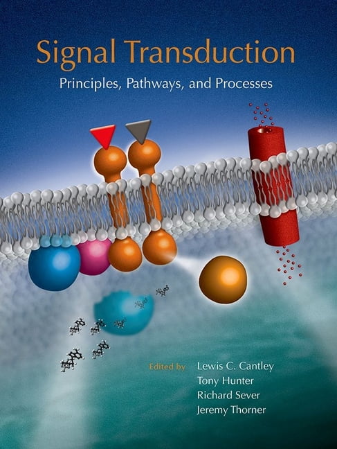 Transduction Real Transduction Principle