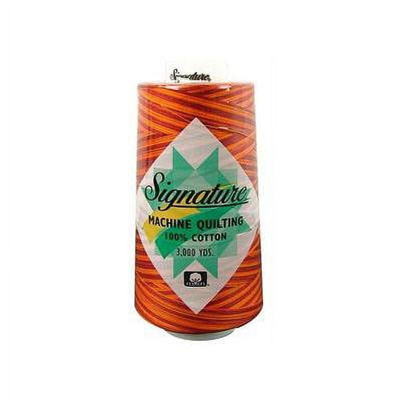 Signature Variegated Quilting Thread, 3000yds - Walmart.com