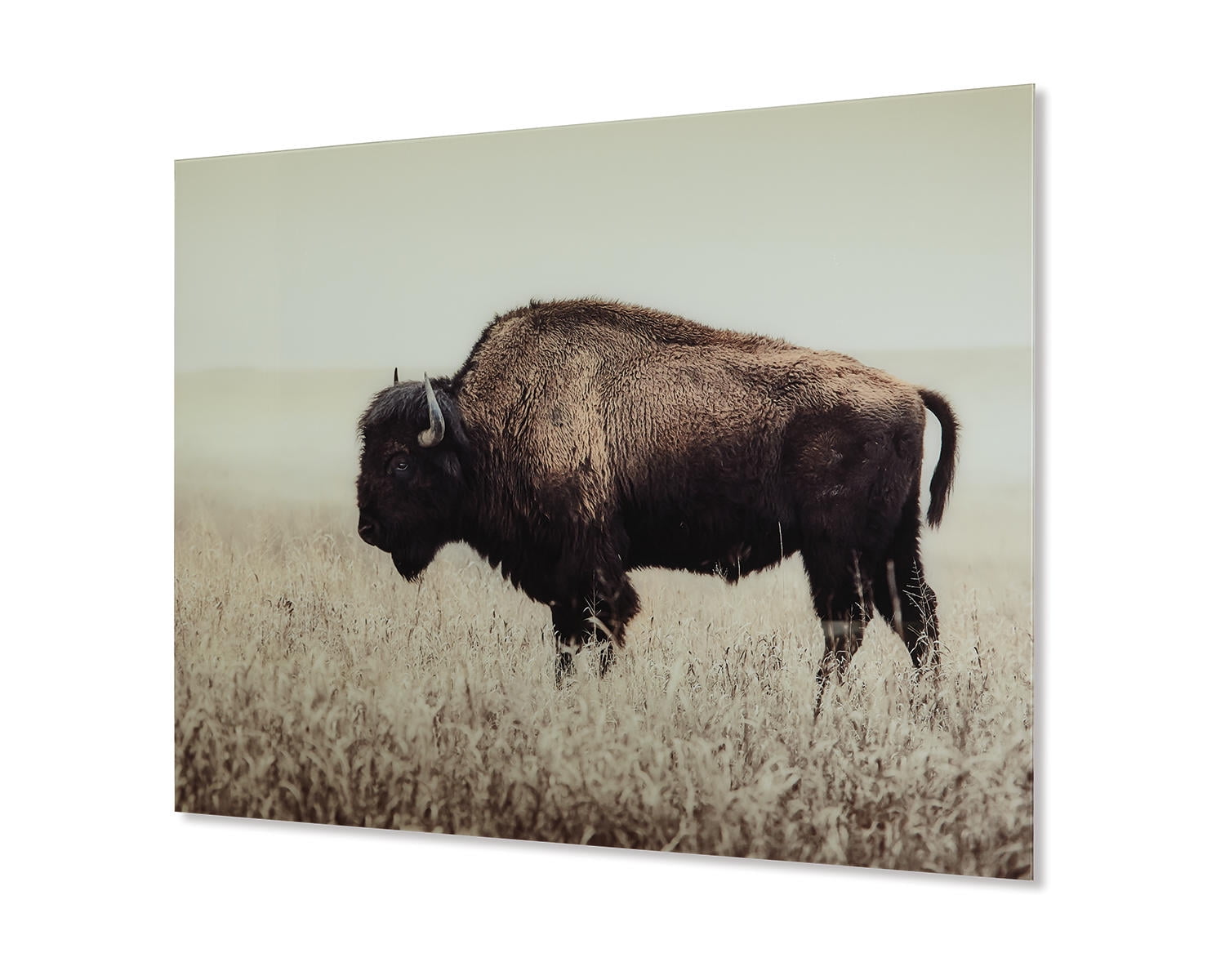 Sepia Bison Glass Wall Art in Beige and Brown