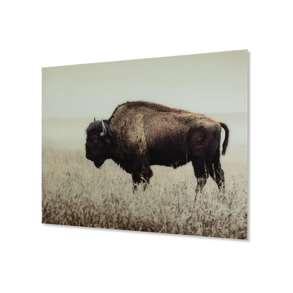 Signature Design by Ashley Casual Brutus Wall Art  Sepia