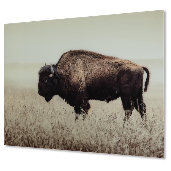 Signature Design by Ashley Casual Brutus Wall Art Sepia