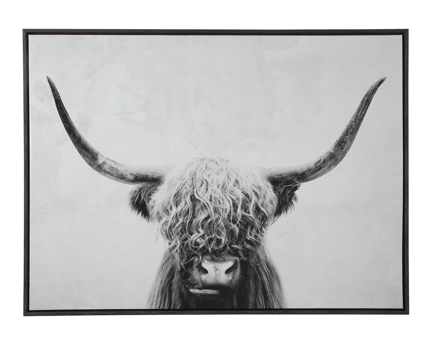 Pancho Black and White Highland Cow Canvas Wall Art