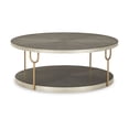 thumbnail image 1 of Signature Design by Ashley Contemporary Ranoka Coffee Table, Platinum, 1 of 4