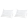 thumbnail image 1 of Signature Design by Ashley Zephyr 2.0 100% Cotton Cover with Hypoallergenic Fiberfill Pillow, 2 Count, White, 1 of 5