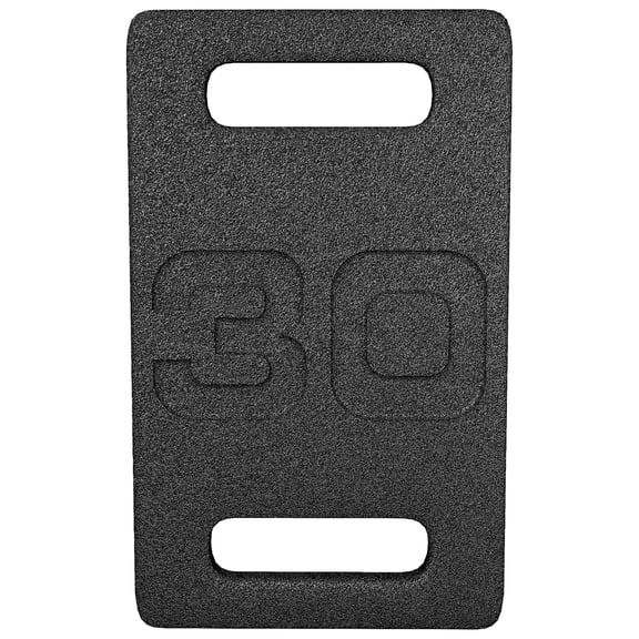 Fitvids 30 lb Cast Iron Ruck Weight Plate With 2 Handles for Strength Training & Home Gym