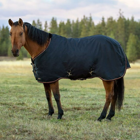 Signature Heavy Weight Turnout