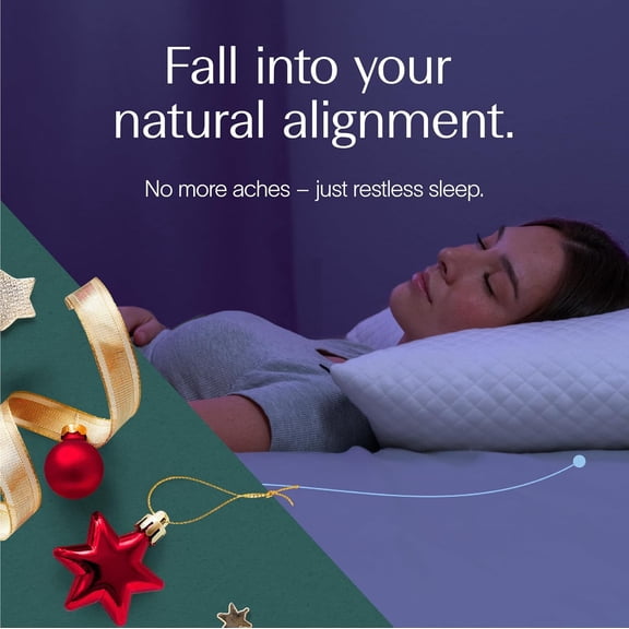 Signature Pillow w/Adjustable Loft • Shredded Memory Foam Fill • Neutral Alignment for Side, Back, and Stomach Sleepers • Washable Bamboo Rayon Cover • CertiPUR-US Certified Foam (Queen)