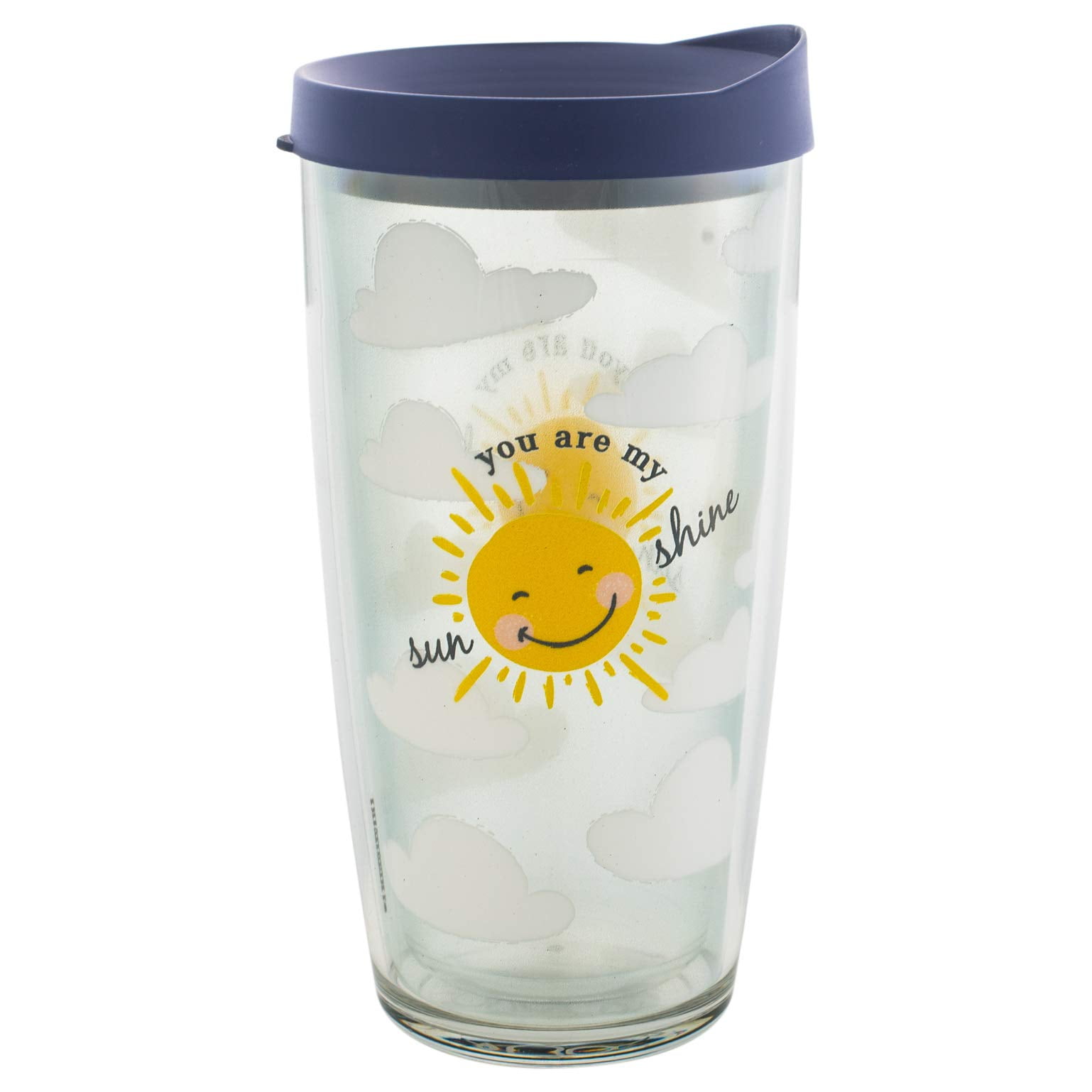 Sunshine on My Mind Insulated Funny Tumbler With Lid Premium Stainless  Steel Tumbler Glasses Sarcastic Coffee Mug for Cold & Hot Drinks 