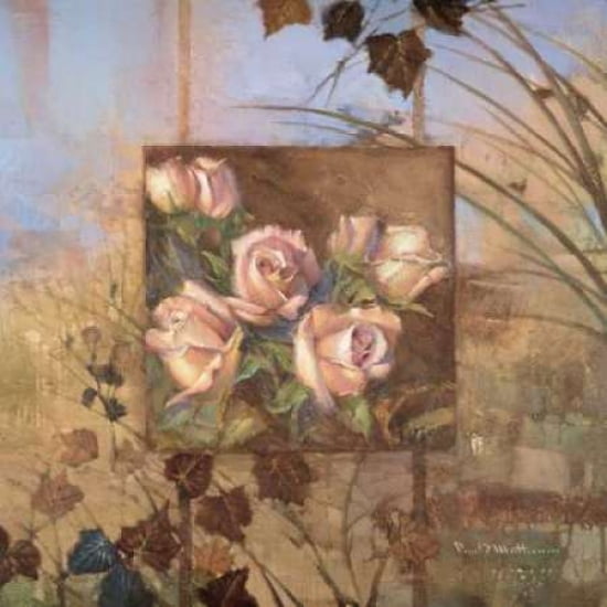 Signna Rose Canvas Art - Paul Mathenia (24 x 24)