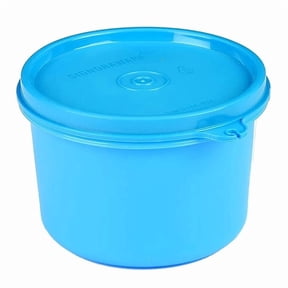 Signoraware Executive Round Big Plastic Container, 450ml, T Blue