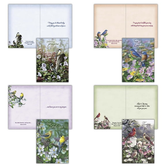Signs of Spring  - Boxed Thinking of You Cards, Box of 12