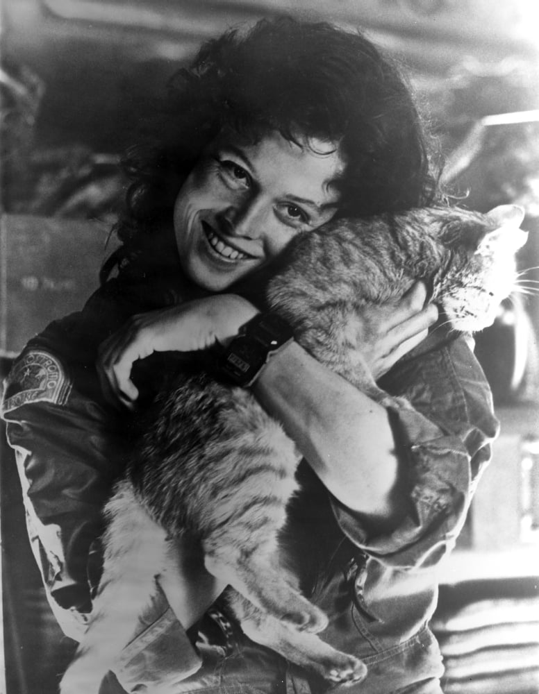 Sigourney Weaver Carrying Cat in Classic Photo Print (8 x 10)