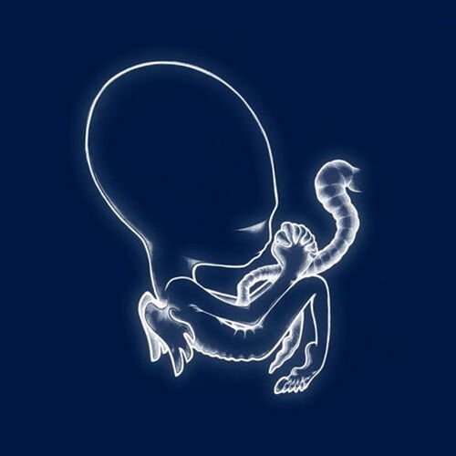Sigur Ros - Agaetis Byrjun - Music & Performance - Vinyl