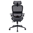 thumbnail image 1 of Sihoo B100 Ergonomic Office Chair, Task Chair with Dual Back Support, 2D Wide Headrest for Teenager, Mesh High Back Executive Chair for Home Office, Black, 1 of 15