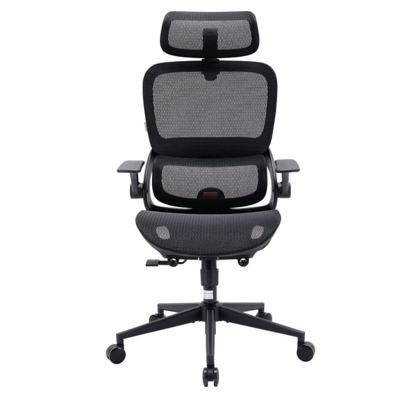 Sihoo B100 Ergonomic Office Chair, Task Chair with Dual Back Support, 2D Wide Headrest for Teenager, Mesh High Back Executive Chair for Home Office, Black