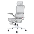 thumbnail image 1 of Sihoo B100 PRO Ergonomic Office Chair with Footrest, Adaptive Lumbar Support, 3D Wide Headrest, 360° Rotatable Flip-Up Armrests for Adult, Home, Light Grey, 1 of 13