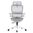 thumbnail image 1 of Sihoo B100 Pro Ergonomic Office Chair, Adaptive Elastic Lumbar & 4D Arms & 3D Ultra-Wide Headrest Mesh Chair, Teen, Breathable Home Office & Gaming, White, 1 of 14