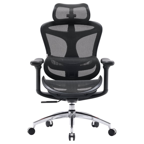 Sihoo Doro C300 Ergonomic Office Chair with Headrest, Lumbar Support, Adjustable Backrest, 3D Armrests, Breathable Mesh, Height & Tilt Adjustment - Black