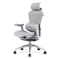 thumbnail image 1 of Sihoo Ergonomic Office Chair, Auto-Adaptive Lumbar Support, Adjustable Backrest, 3D Armrests, Mesh, Gray, 1 of 11
