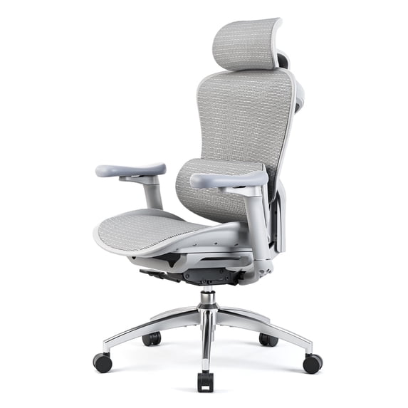 Sihoo Ergonomic Office Chair, Auto-Adaptive Lumbar Support, Adjustable Backrest, 3D Armrests, Mesh, Gray