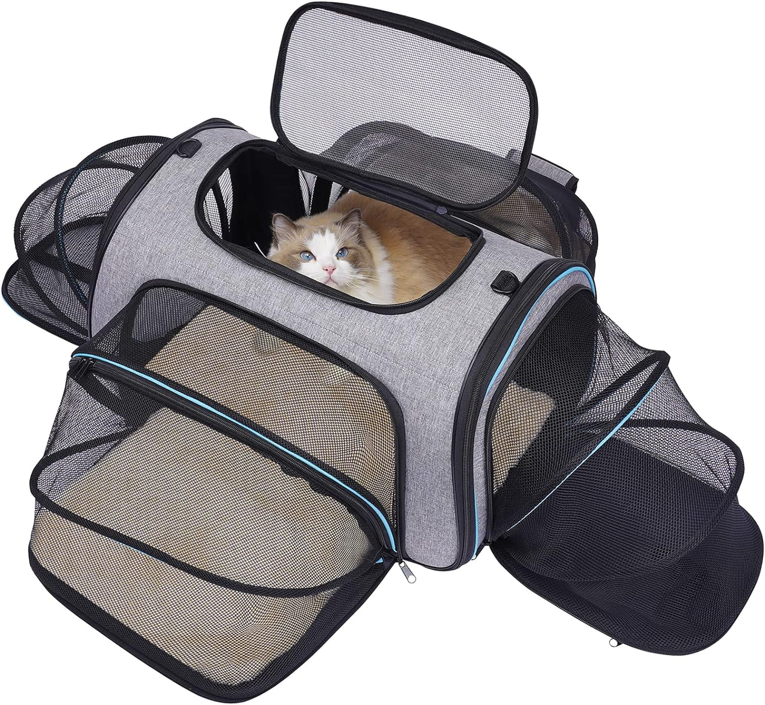 Siivton 4 Way Expandable Pet Carrier, Airline Approved Collapsible Cat