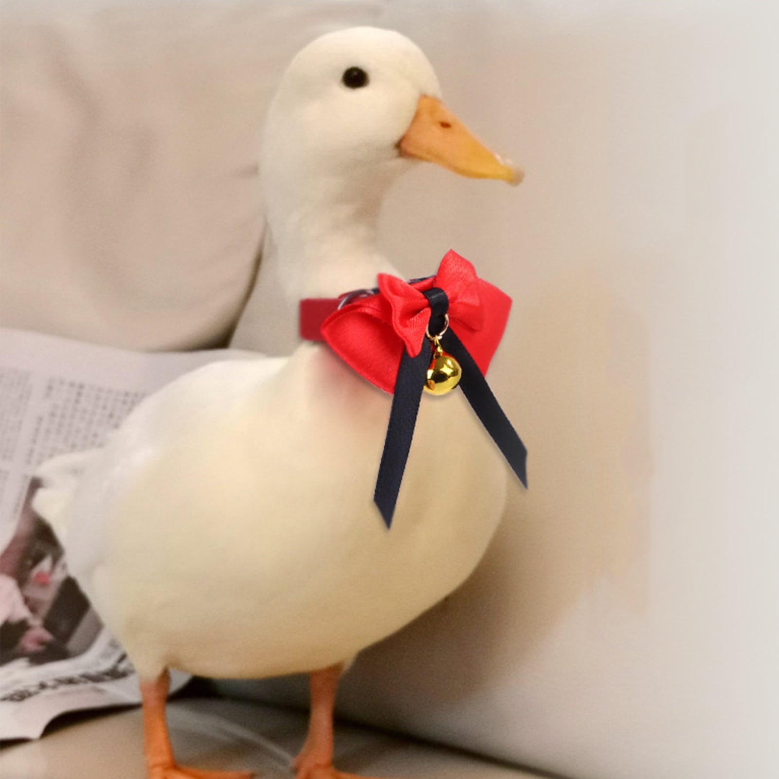 Sijiali Handmade Adjustable Pet Neck Ring Chicken Duck Parrot Birds ...