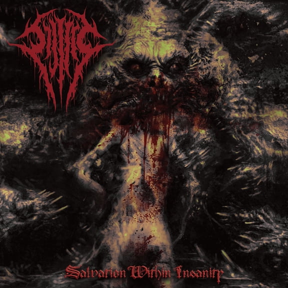 Sijjeel - Salvation Within Insanity - Music & Performance - CD