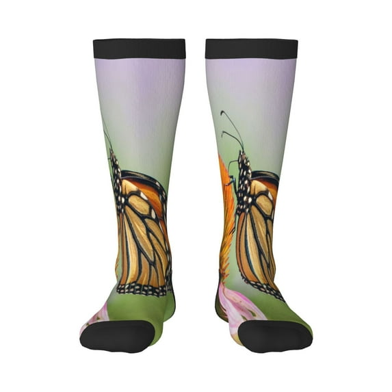 Sikiie A monarch butterfly Print Knee Socks, High Socks Long Stretchy Sock Women Knee High Stocking, Long Socks for Women