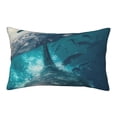thumbnail image 1 of Sikiie Airplane Shark Print Plush Pillow Cover, Wrinkle-proof and Stain-resistant Pillow Protector without Pillow Core, Home Decoration-16"x24", 1 of 6