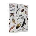 thumbnail image 1 of Sikiie Animal Bird Print Canvas Decorative Hanging Painting, Anti-shrinkage Hanging Frame, Suitable for Home, Office Wall Decorations, 1 of 6