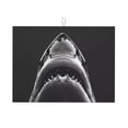 thumbnail image 1 of Sikiie Black And White Shark Dish Drying Mat, Kitchen Counter Mat, Self Drying Mat for Kitchen Counter Dish Drying Pad ,for Dishes, Utensils, Pots and Pans（24" x 18"）, 1 of 7