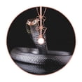 thumbnail image 1 of Sikiie Black Cobra Snake Christmas Tree Skirt, Christmas Tree Decorations, Christmas Decor, Tree Mat Decoration(30-48IN)-48", 1 of 6