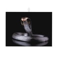 thumbnail image 1 of Sikiie Black Cobra Snake Dish Drying Mat, Kitchen Counter Mat, Self Drying Mat for Kitchen Counter Dish Drying Pad ,for Dishes, Utensils, Pots and Pans(24" x 18"), 1 of 7