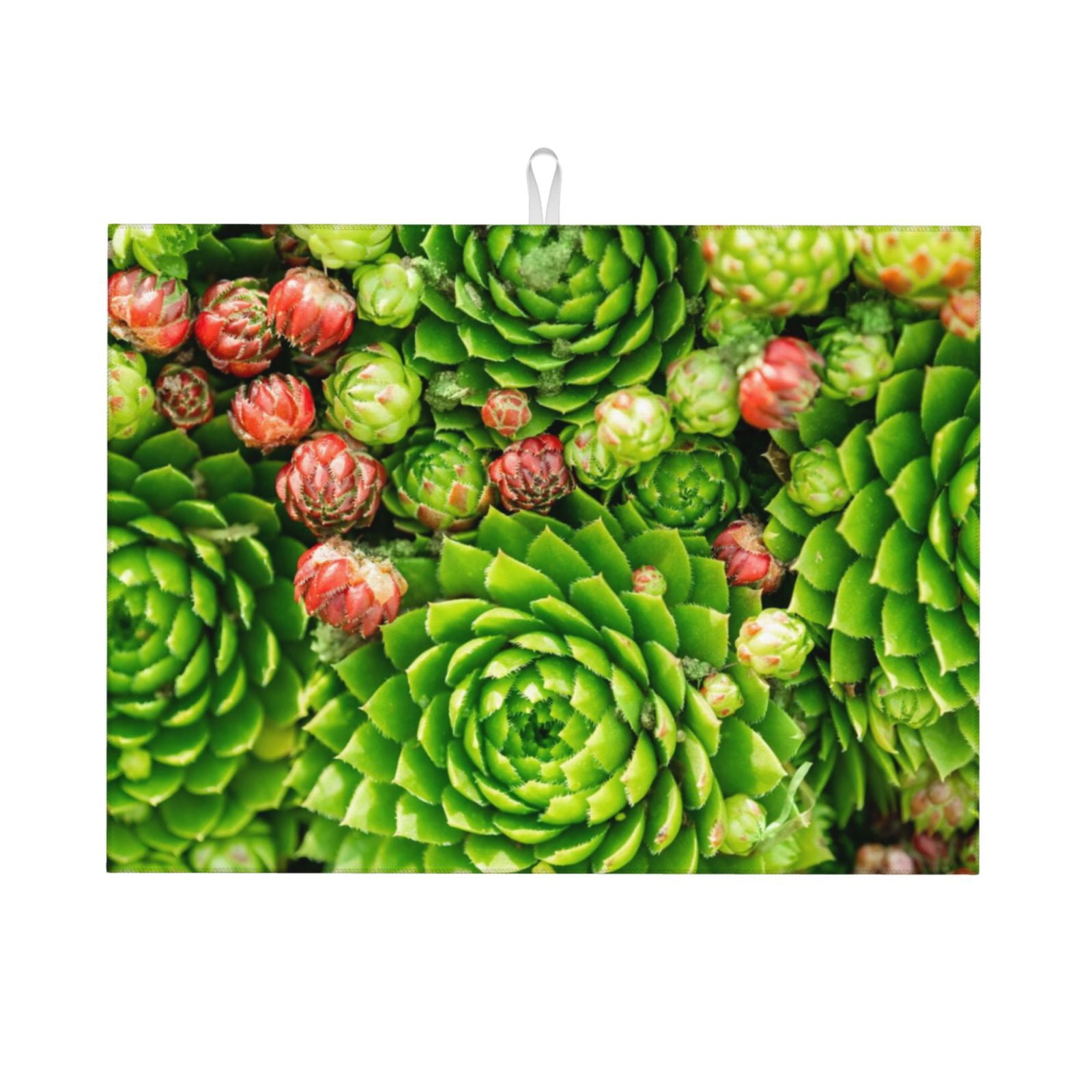 Sikiie Cactus And Succulents Dish Drying Mat, Kitchen Counter Mat, Self ...