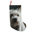 thumbnail image 1 of Sikiie Dog Wrapped in Towel 1 Christmas Stockings,18 Inches Christmas Stockings Xmas Hanging Stockings for Family Christmas Decorations & Gifts, 1 of 7