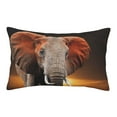 thumbnail image 1 of Sikiie Elephant Sunset in Kenya Print Plush Pillow Cover, Wrinkle-proof and Stain-resistant Pillow Protector without Pillow Core, Home Decoration-16"x24", 1 of 6