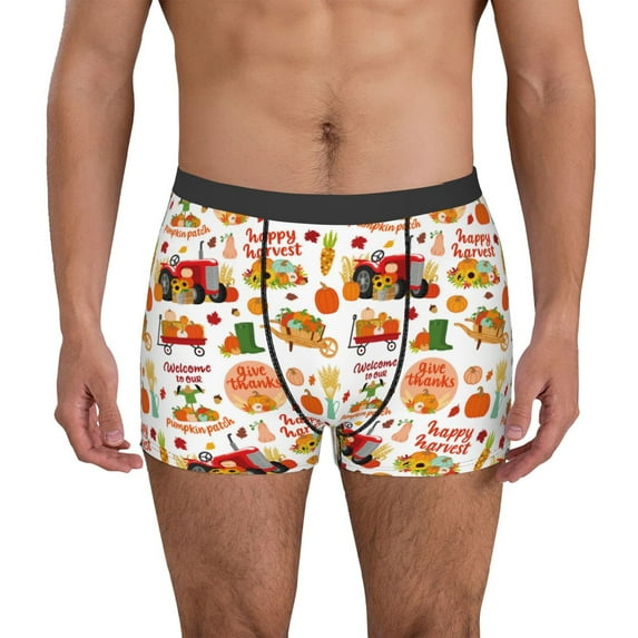 Sikiie Fall Farm Pumpkin Print Men's Boxer Briefs, Elastic Waistband Boxer Briefs Leggings-Large