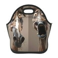 Sikiie Funny Horse Faces Expressions Insulated Lunch Bag Tote Thick