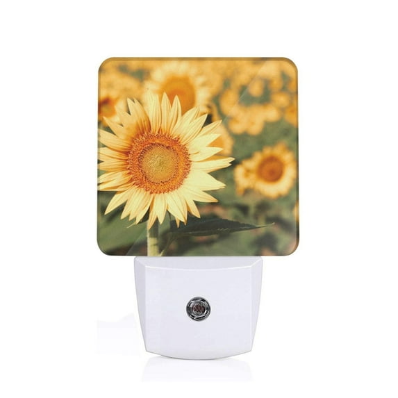 Sikiie Golden Sunflower In Field Led Night Light, Warm White,Cool White Lights for Bathroom,Hallway,Bedroom, Kids Room-UK