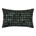 thumbnail image 1 of Sikiie Hieroglyphic Symbols Print Plush Pillow Cover, Wrinkle-proof and Stain-resistant Pillow Protector without Pillow Core, Home Decoration-16"x24", 1 of 6