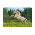 thumbnail image 1 of Sikiie Horse Rearing Up In The Field Print Flannel Anti-slip Floor Mat 16x24in, Thickened Dustproof Entrance Door Mat Floor Mat for Kitchen, Bathroom, Laundry Room, 1 of 7