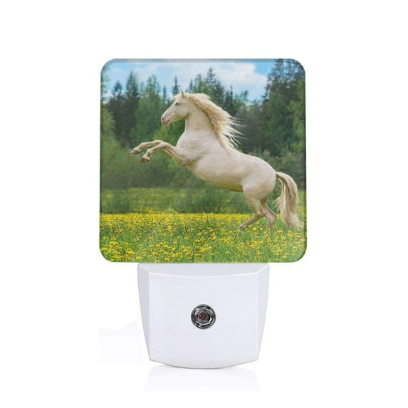 Sikiie Horse Rearing Up In The Field Led Night Light, Warm White,Cool White Lights for Bathroom,Hallway,Bedroom, Kids Room-UK