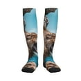 thumbnail image 1 of Sikiie Ice Blue Coastal Lion 1 Pairs Compression Socks for Men and Women 15-20 mmHg Running Support Socks, 1 of 7